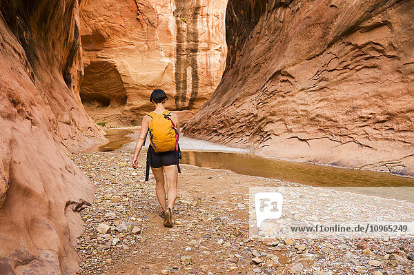 'Female adventurer exploring a desert canyon narrows  Capitol Reef National Park; Utah  United States of America'