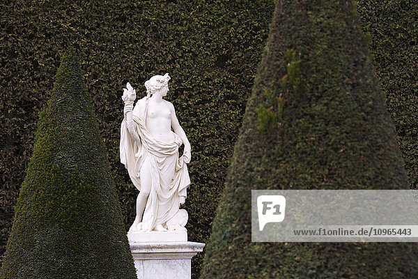 Eine Statue aus weißem Marmor ist vor dem Grün einer hohen Hecke in den Gärten von Versailles zu sehen; Paris  Frankreich