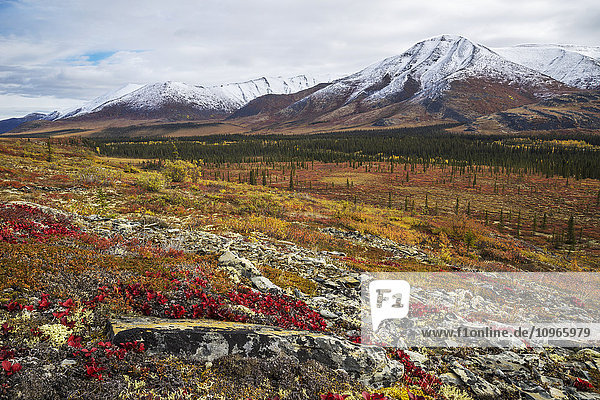 'The landscape along the Dempster Highway is alive with autumn colours; Yukon Canada'