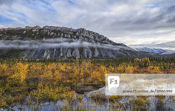 Die Kalksteinklippen von Sapper Hill im Herbst entlang des Dempster Highway; Yukon  Kanada'.