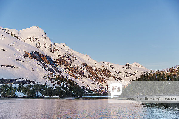 'Snow covered peaks rise above the calm waters of Kings Bay  Prince William Sound  evergreen trees in the foreground; Whittier  Alaska  United States of America'
