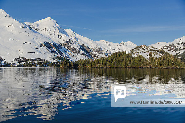 'Snow covered cliffs and evergreen trees bathed in sunset light on the shore of Kings Bay  Prince William Sound; Whittier  Alaska  United States of America'