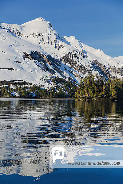 'Snow covered cliffs and evergreen trees bathed in sunset light on the shore of Kings Bay  Prince William Sound; Whittier  Alaska  United States of America'