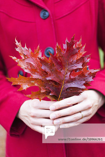 Frau in leuchtend rotem Mantel  die herbstlich gefärbte Blätter hält  Bear Creek Park; Surrey  British Columbia  Kanada'.