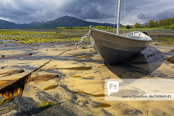 Aluminium-Skiff liegt bei Ebbe in der Womens' Bay, Kodiak, Alaska, im Sand