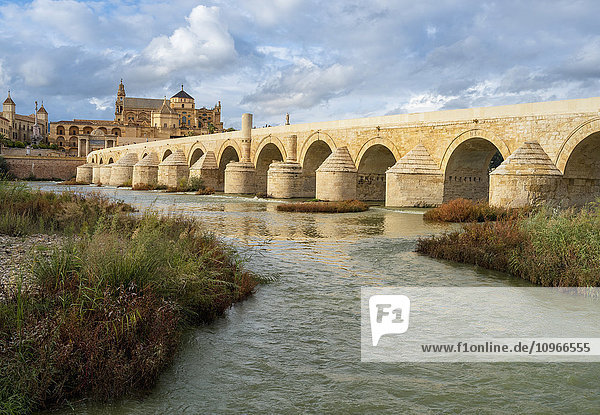 'Roman bridge of Cordoba; Cordoba  Andalusia  Spain'