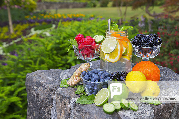 Ein frisches Sortiment von Früchten  Beeren und anderen Erzeugnissen in einem Garten  der ein farbenfrohes Bild von frischen Lebensmitteln und gesunder Ernährung vermittelt; Vancouver  British Columbia  Kanada'.