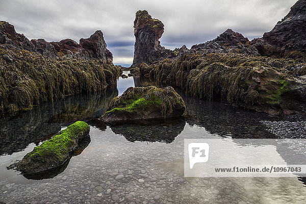'Tidal Pool on the beach called Djupalonsanndur on the western coast of Iceland; Iceland'