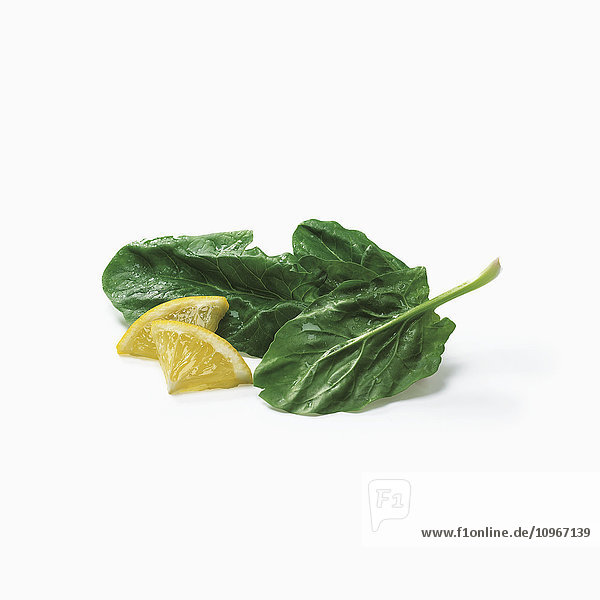 'Leaves of lettuce and small pieces of lemon on a white background; Toronto  Ontario  Canada'