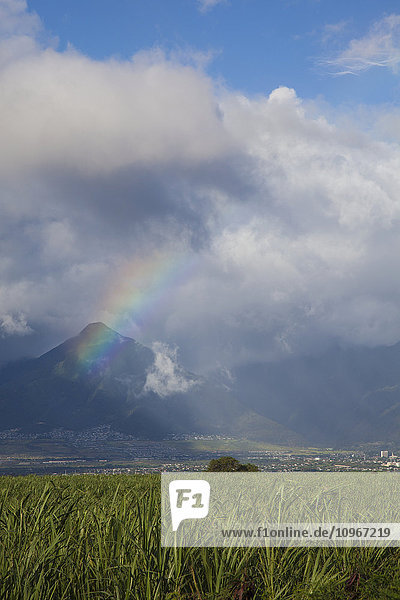'Ein sonniger Regenbogen über Wailuku; Maui  Hawaii  Vereinigte Staaten von Amerika'.
