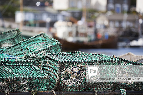 Fischreusen im Hafen; Whitby  Yorkshire  England'.