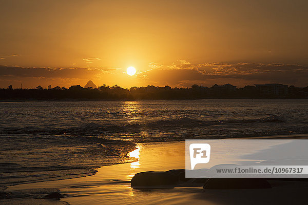 'A golden sun sets over silhouetted trees and reflects on the wet beach along the coast; Caloundra  Queensland  Australia'