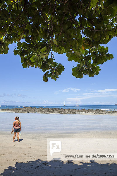 'A young woman admires the view of the beach; Tamarindo  Costa Rica'