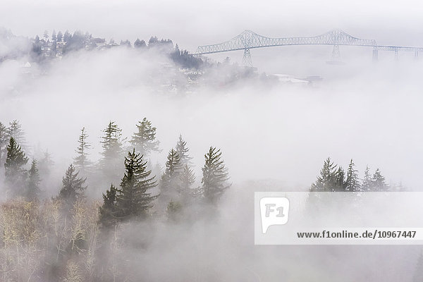 Nebel liegt über den Hügeln entlang des Columbia River; Astoria  Oregon  Vereinigte Staaten von Amerika