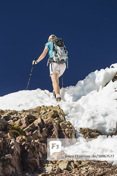 Wanderin mit Stöcken auf schneebedecktem  felsigem Gipfel mit blauem Himmel; Waterton  Alberta  Kanada'.