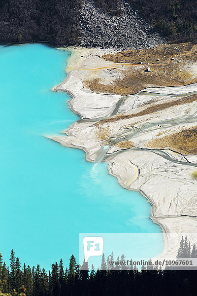 Blick hoch über einen intensiv blau gefärbten See mit Delta-Uferlinie  Banff National Park; Alberta  Kanada