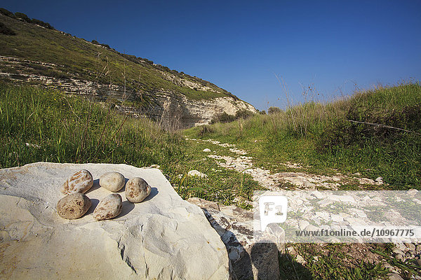 'Rocks  grass and blue sky in the Valley of Elah; Israel'