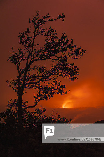 Das Glühen von Pele leuchtet nachts durch die Wolken in der Kilauea Caldera und im Halemaumau-Krater im Hawaii Volcanoes National Park; Insel Hawaii  Hawaii  Vereinigte Staaten von Amerika'.