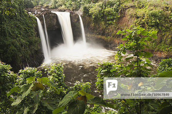 Rainbow Falls; Hilo  Insel Hawaii  Hawaii  Vereinigte Staaten von Amerika'.