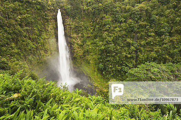 Die 400 Fuß hohen Kahuna-Wasserfälle auf der Großen Insel von Hawaii ergießen sich ungebremst in eine tiefe Schüssel im Regenwald; Insel Hawaii  Hawaii  Vereinigte Staaten von Amerika'