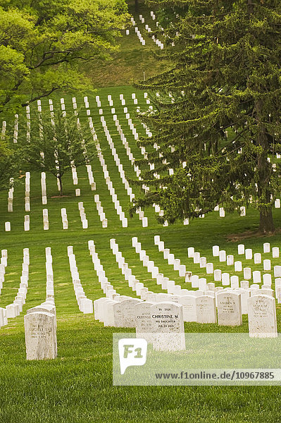 Reihen von Grabsteinen auf dem Arlington National Cemetery; Arlington  Virginia  Vereinigte Staaten von Amerika'.