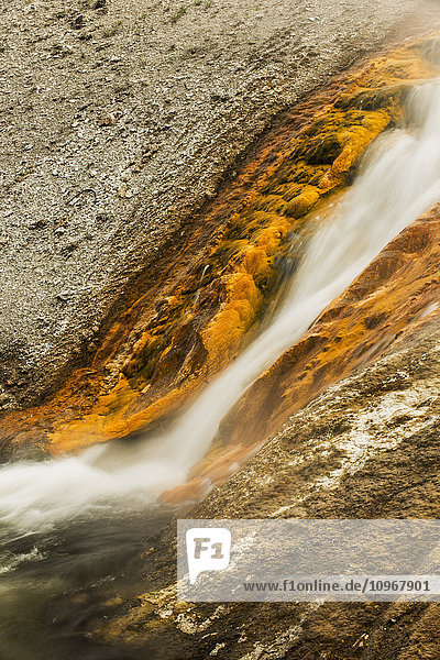 Wasser fließt aus einer heißen Quelle im Norris Geyser Basin im Yellowstone National Park; Wyoming  Vereinigte Staaten von Amerika'.