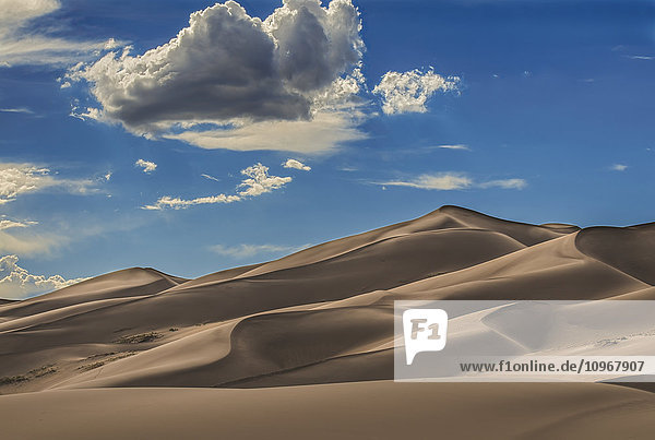 Sanddünen in der Nachmittagssonne im Great Sand Dunes National Park and Preserve; Colorado  Vereinigte Staaten von Amerika'.