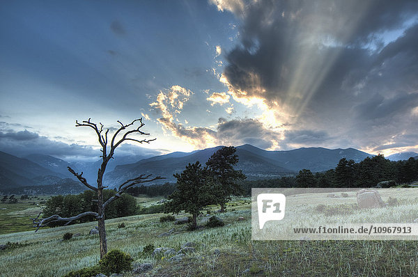 Abendlicht leuchtet durch die Wolken über einer Wiese im Rocky Mountain National Park; Colorado  Vereinigte Staaten von Amerika'.