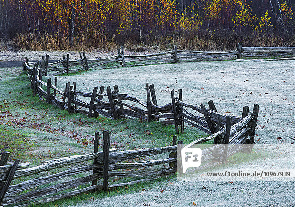 Holzzaun in einem frostbedeckten Grasfeld mit Bäumen in Herbstfarben; Iron Hill  Quebec  Kanada'.