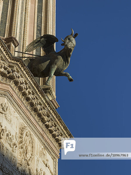 Skulptur eines geflügelten Tieres an der Fassade des Doms von Orvieto; Orvieto  Umbrien  Italien