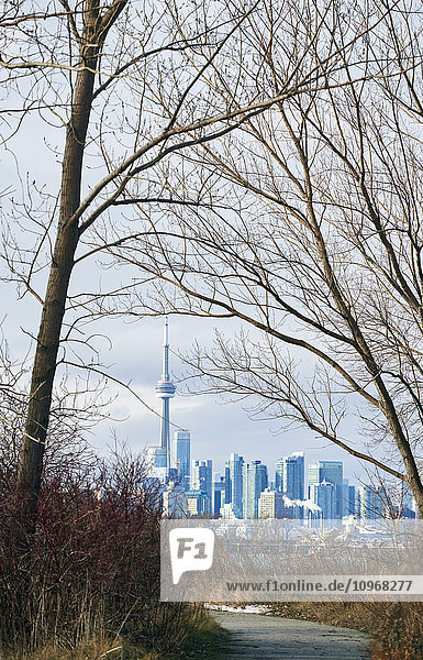 Blick auf das Stadtzentrum von Toronto vom Tommy Thompson Park aus; Toronto  Ontario  Kanada'.