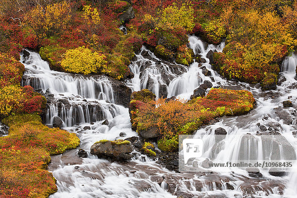 'Hraunfossar waterfalls and autumn colours; Iceland'
