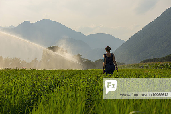'A woman walks through a lush green field with a sprinkler spraying; Ascona  Ticino  Switzerland'