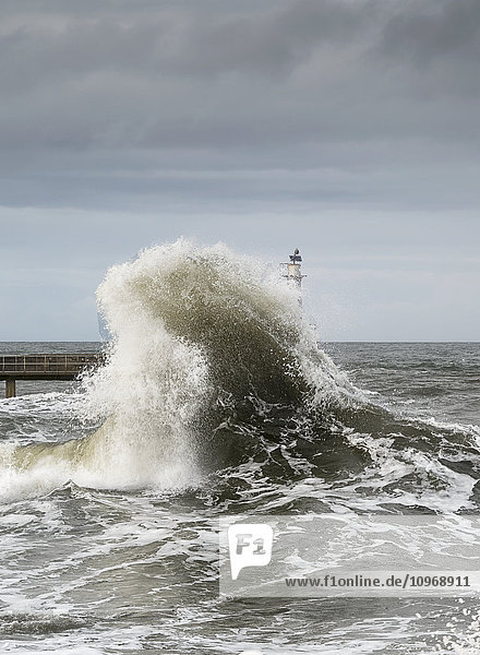 Große Welle  die an der Küste zerschellt  mit einem Leuchtturm am Ende eines Piers; Amble  Northumberland  England'.