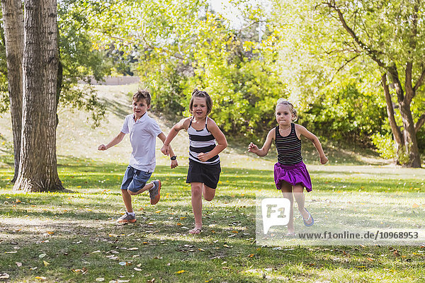 'Three siblings racing in a park; Edmonton  Alberta  Canada'