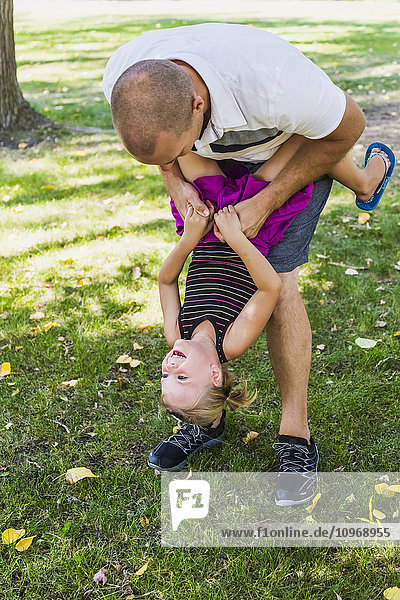 Ein Vater hängt seine Tochter während eines Familienausflugs in einem Park kopfüber auf und spielt mit ihr; Edmonton  Alberta  Kanada'.