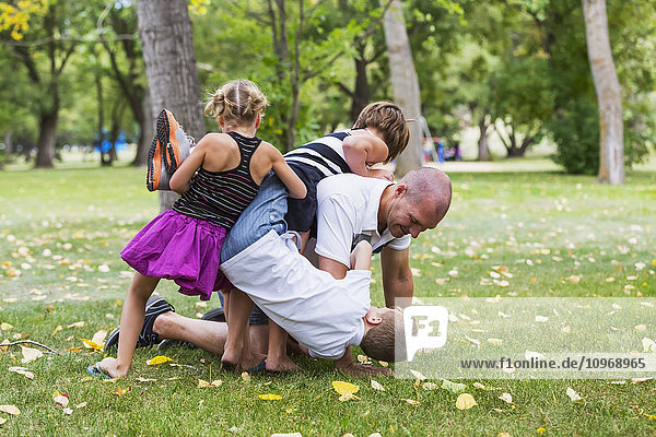 Ein Vater ringt mit seinen Kindern in einem Park während eines Familienausflugs; Edmonton  Alberta  Kanada'.