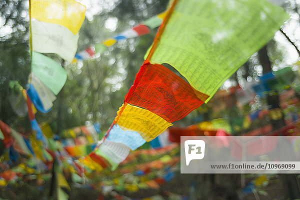 'Beautiful tibetan flags in the forest; Xiamen  Fujian Province  China'