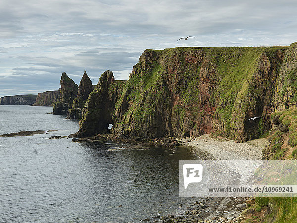 Schornsteine und Klippen am Duncansby Head; John O'Groats  Schottland'.