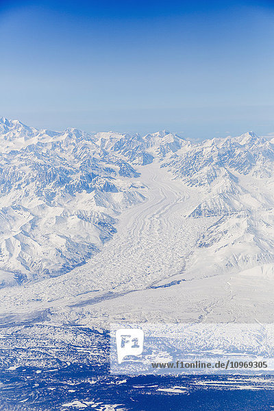 Luftaufnahme eines schneebedeckten Buckskin-Gletschers  der in den Vordergrund läuft  Alaska Range  Inner-Alaska  USA  Winter