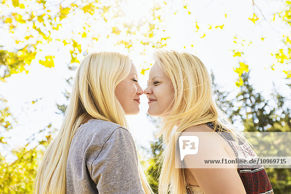 'Two sisters in a city park in autumn being silly and touching noses; Edmonton  Alberta  Canada'
