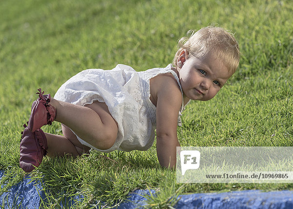 'A baby crawls on the grass; Tarifa  Cadiz  Andalusia  Spain'