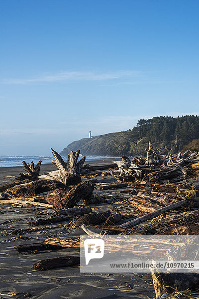 Treibholzsammlungen am Benson Beach an der Küste von Washington; Ilwaco  Washington  Vereinigte Staaten von Amerika'.