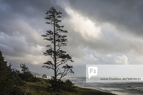 'Clouds cloak the Oregon coast; Cannon Beach  Oregon  United States of America'