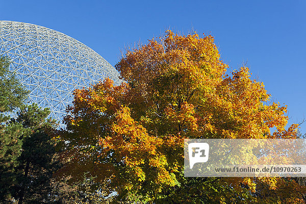 Montreals Biosphäre und herbstlich gefärbtes Laub; Montreal  Quebec  Kanada'.