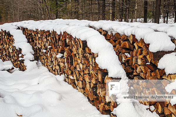 Holzstapel im Schnee; Waterloo  Quebec  Kanada'.