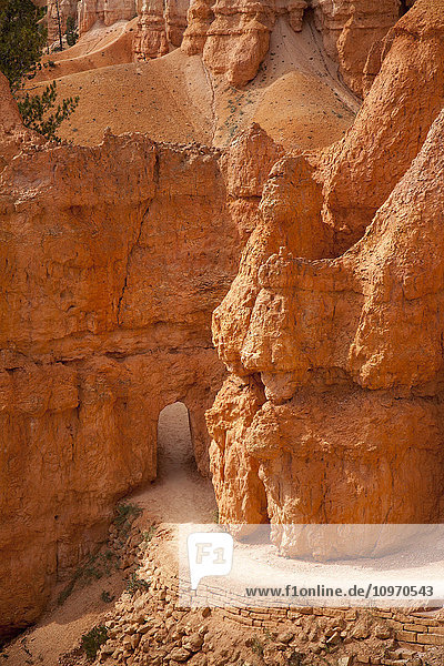 Bryce Canyon National Park - Weg durch den geschnitzten Eingang in den USA; Utah  Vereinigte Staaten von Amerika'.