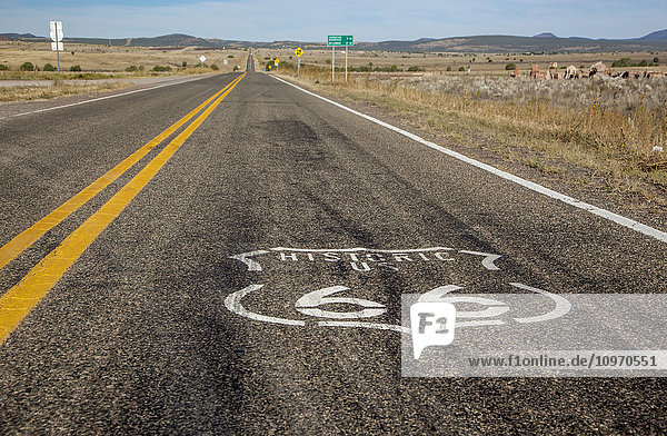 Logo der Route 66 auf dem Highway; Arizona  Vereinigte Staaten von Amerika'.