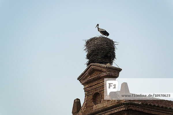 'A stork in it's nest on a rooftop in downtown Alcala de Henares  a historical and charming city near to Madrid; Alcala de Henares  Spain'