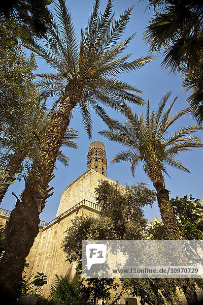 Ein altes Minarett aus Lehm und Ziegeln  eingerahmt von Dattelpalmen; Kairo  Ägypten'.